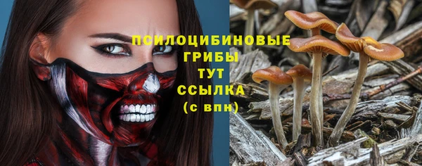 сатива Алзамай
