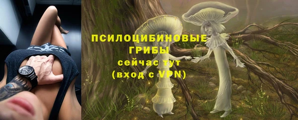 МДПВ Алексин